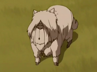 Goat dog  Avatar Wiki  Fandom